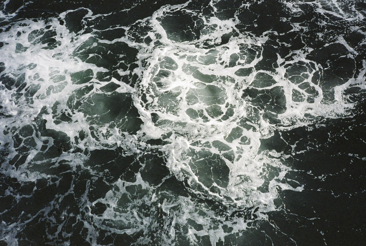 Archillect ID 219538