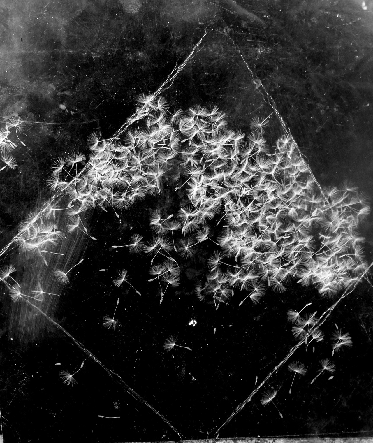 Archillect ID 219728
