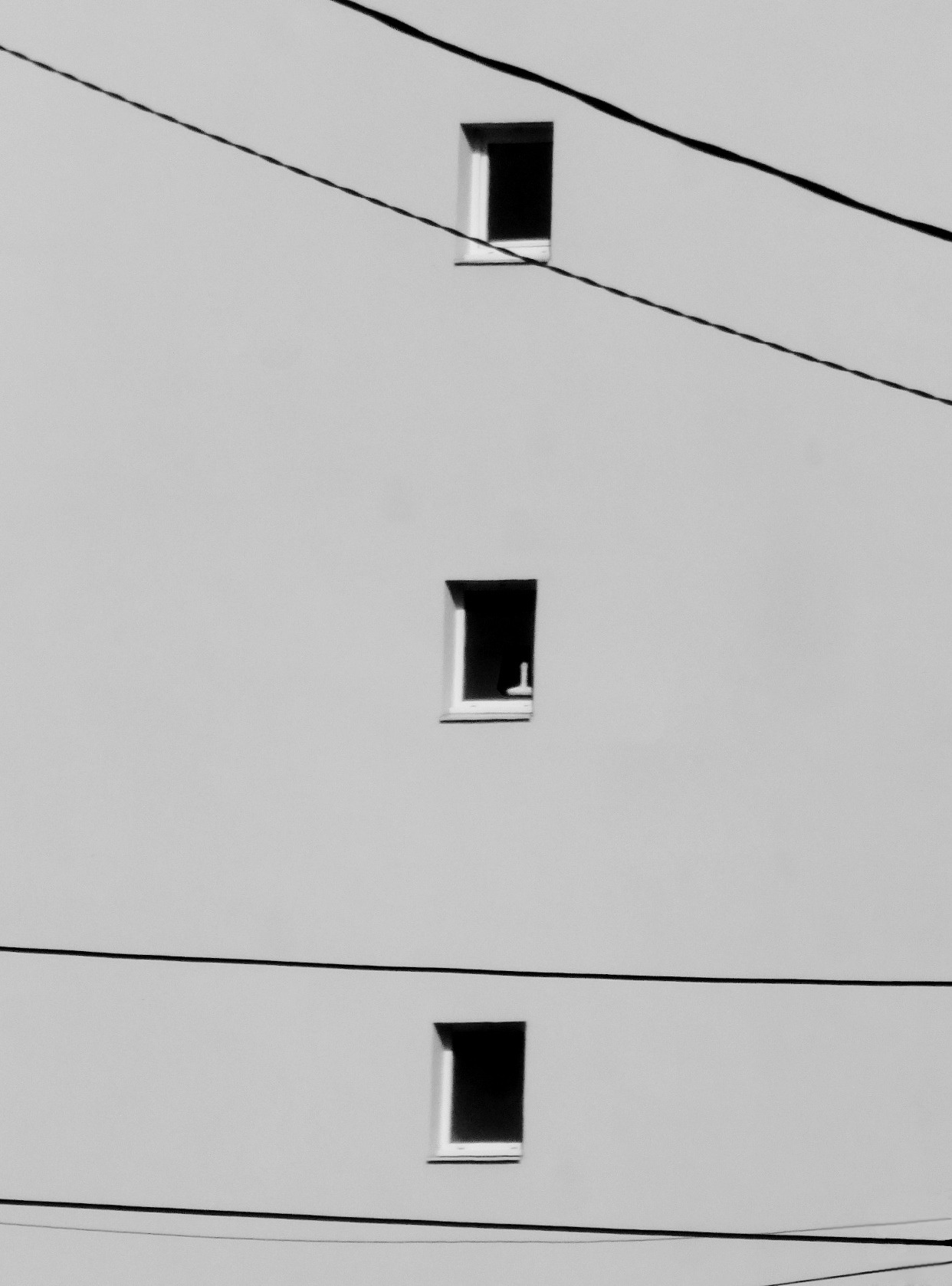 Archillect ID 219775