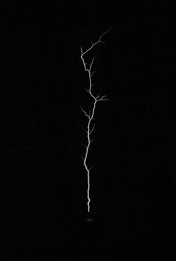 Archillect ID 219889