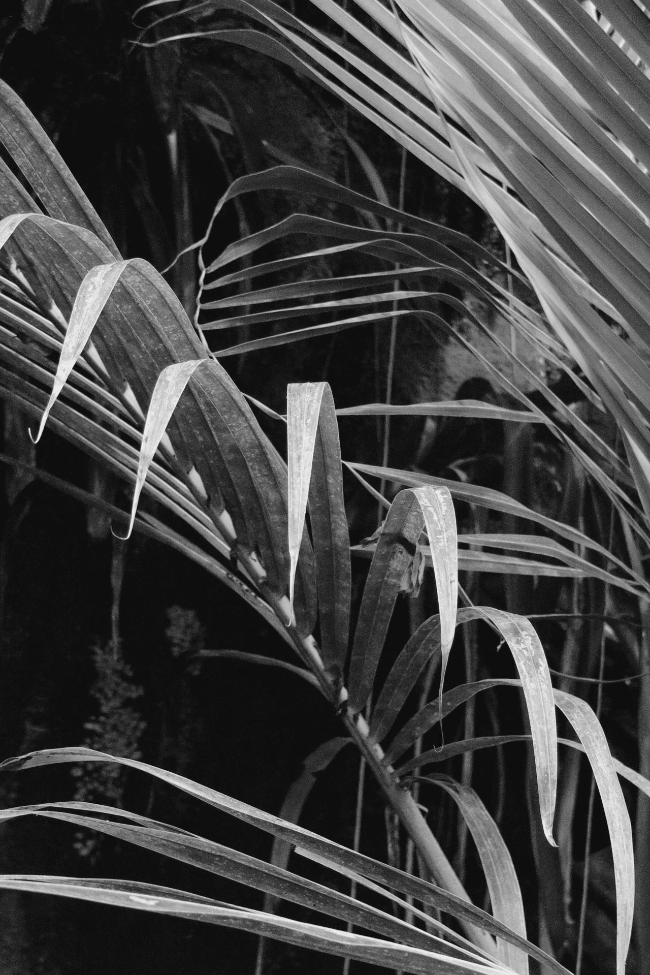 Archillect ID 219944