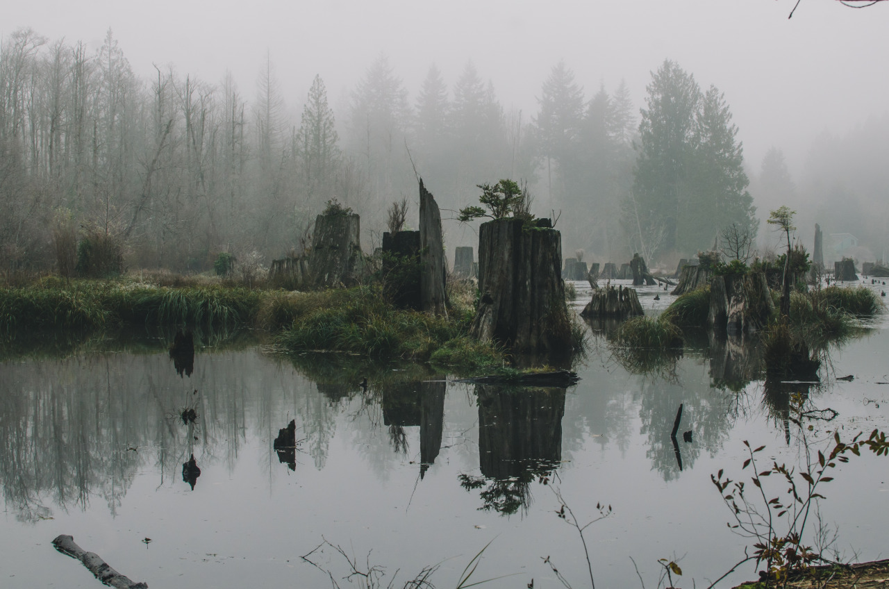 Archillect ID 219992