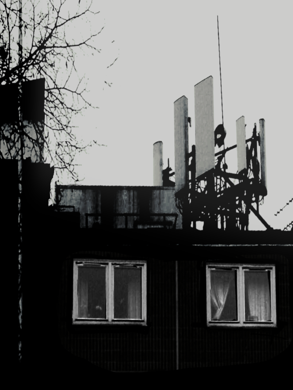 Archillect ID 220219