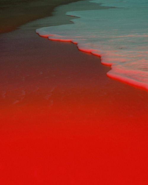 Archillect ID 220556