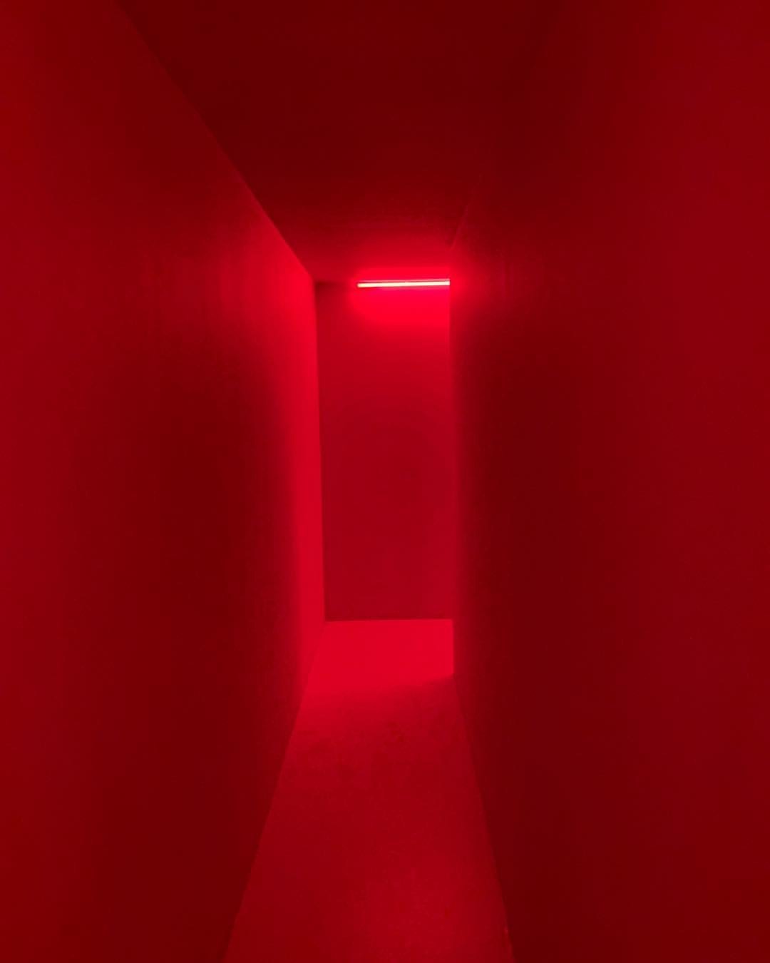 Archillect ID 220578