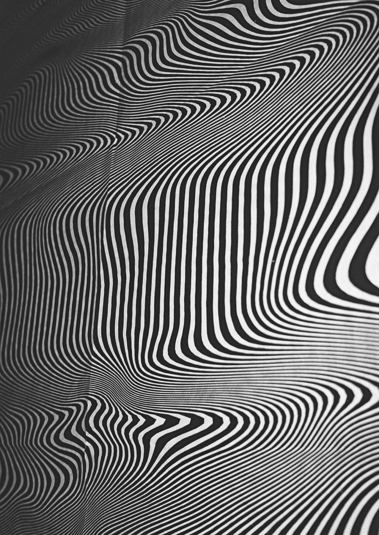 Archillect ID 220601