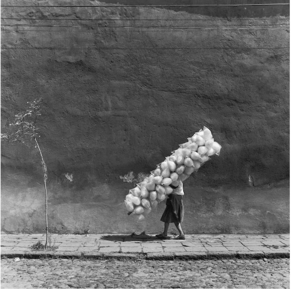 Archillect ID 220804