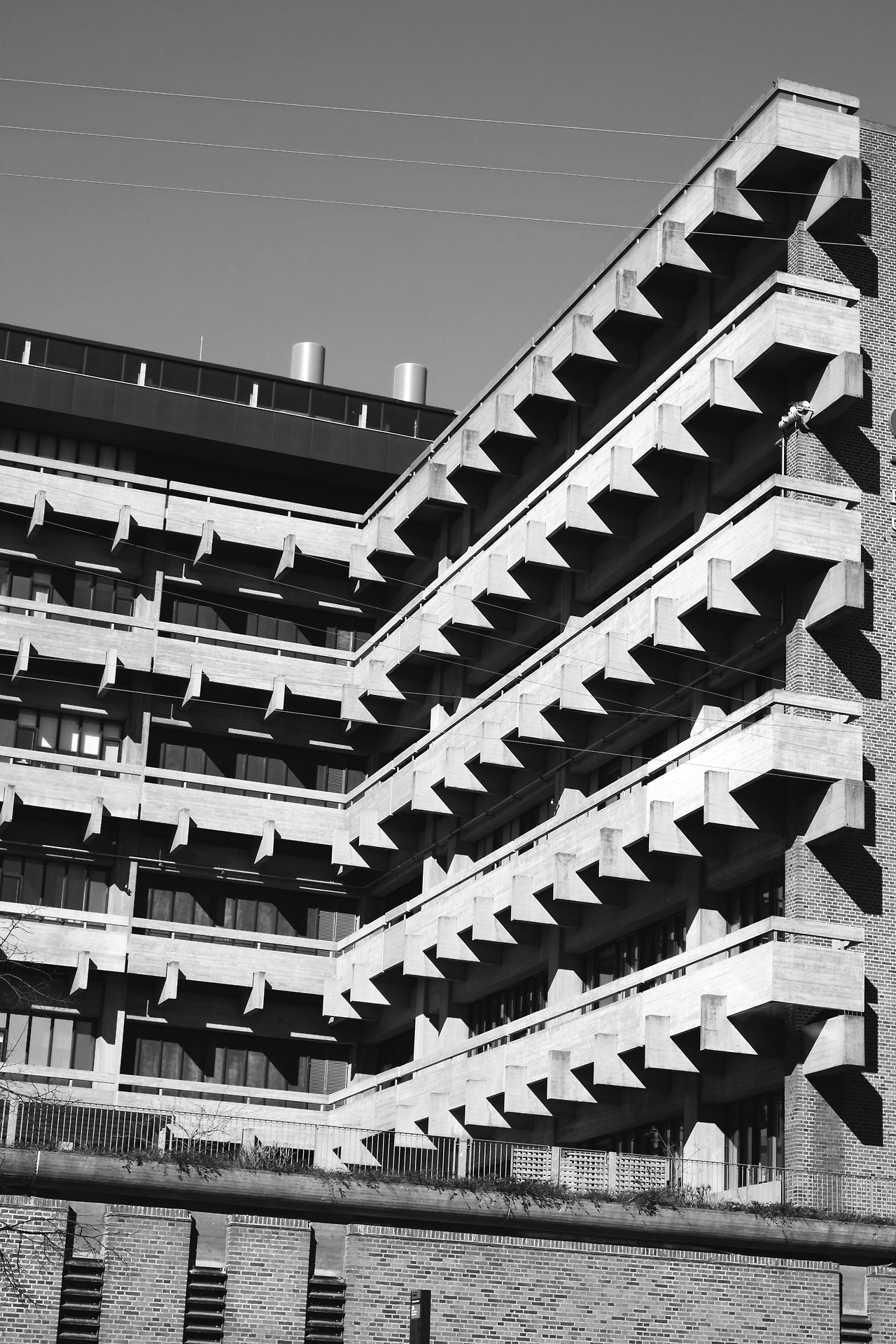 Archillect ID 220864