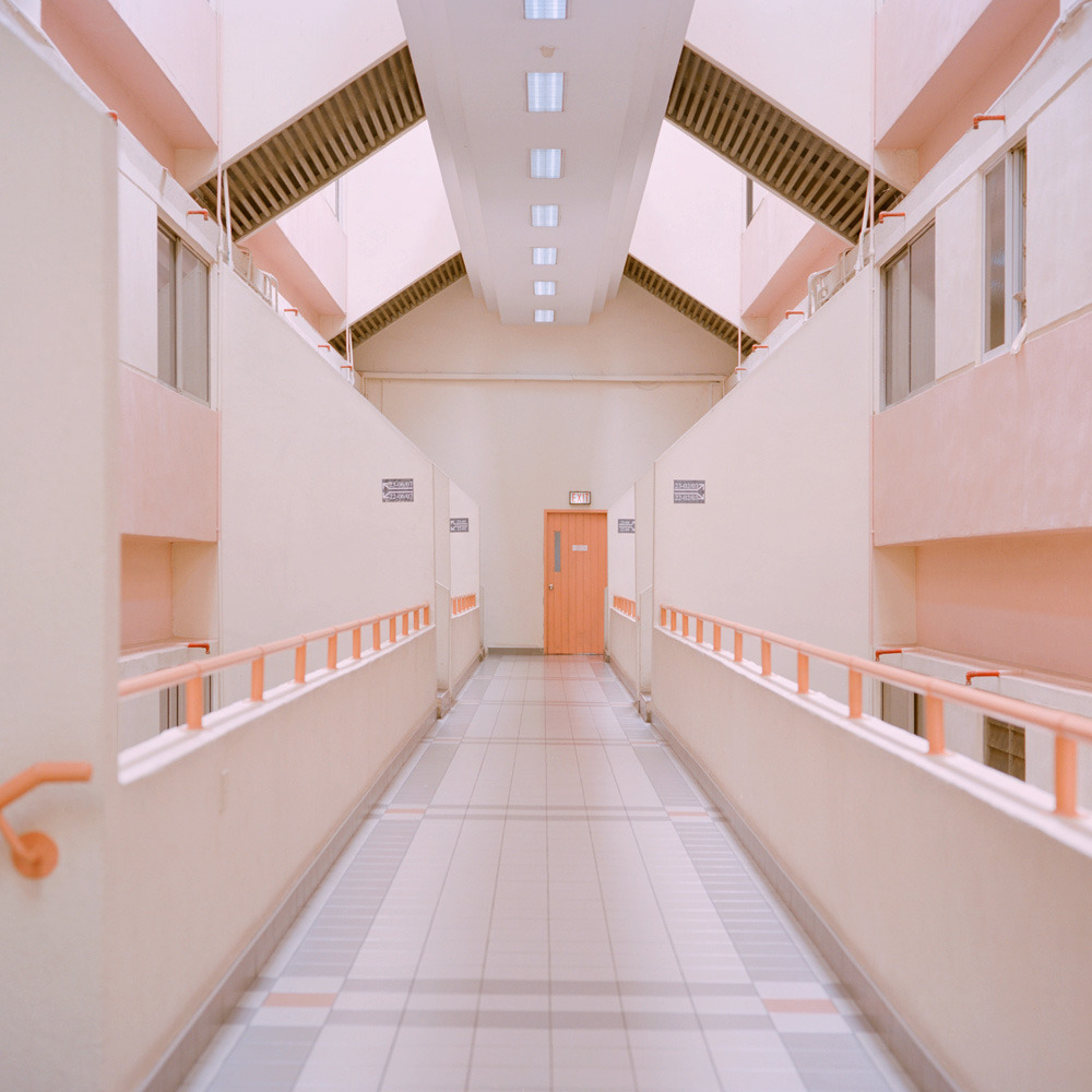 Archillect ID 220882