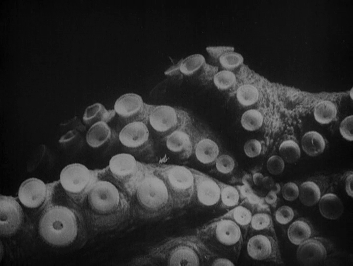 Archillect ID 220977