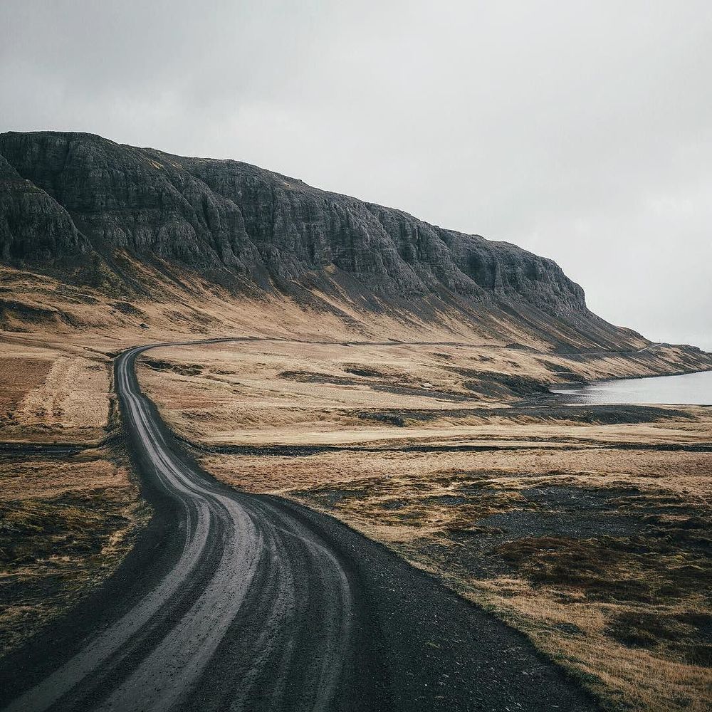 Archillect ID 220994