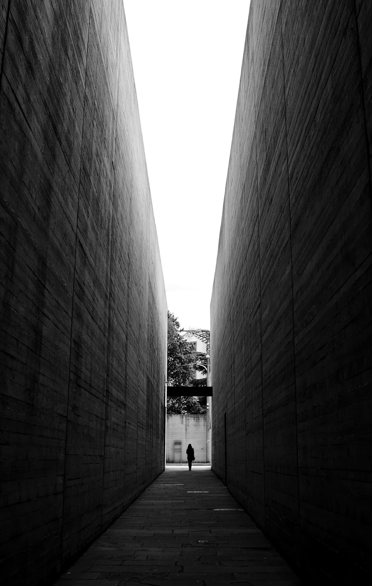 Archillect ID 221122