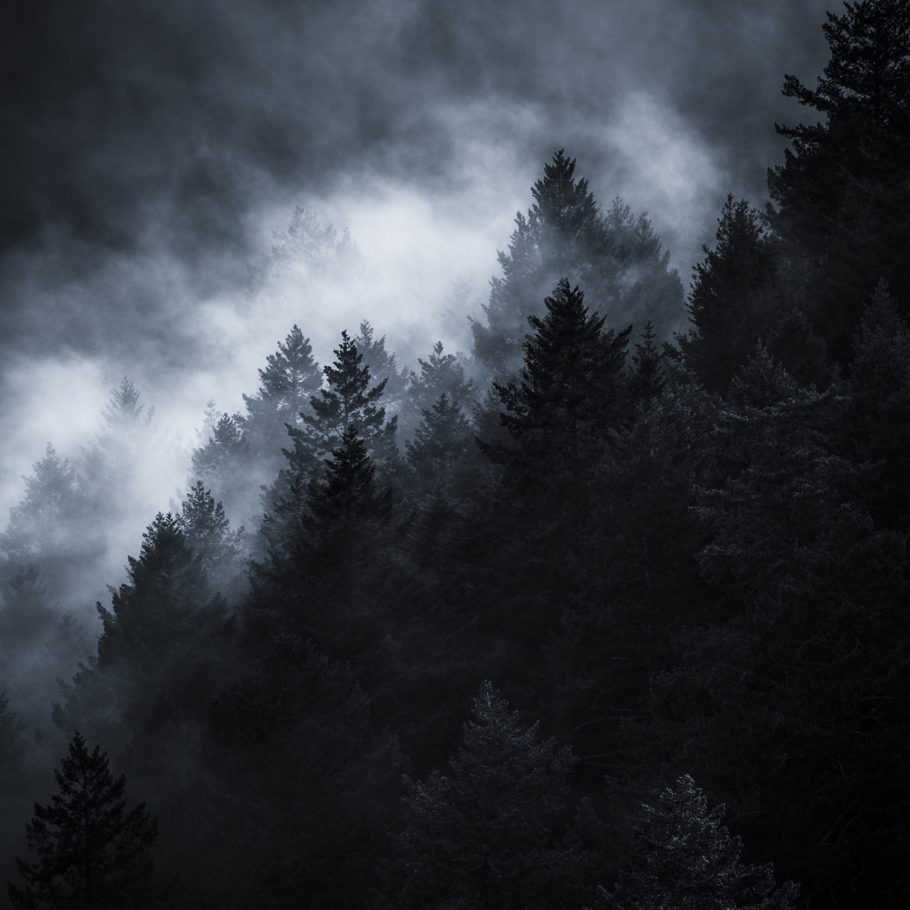 Archillect ID 221151