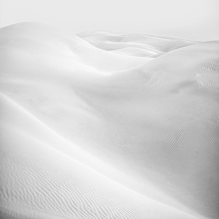 Archillect ID 221463