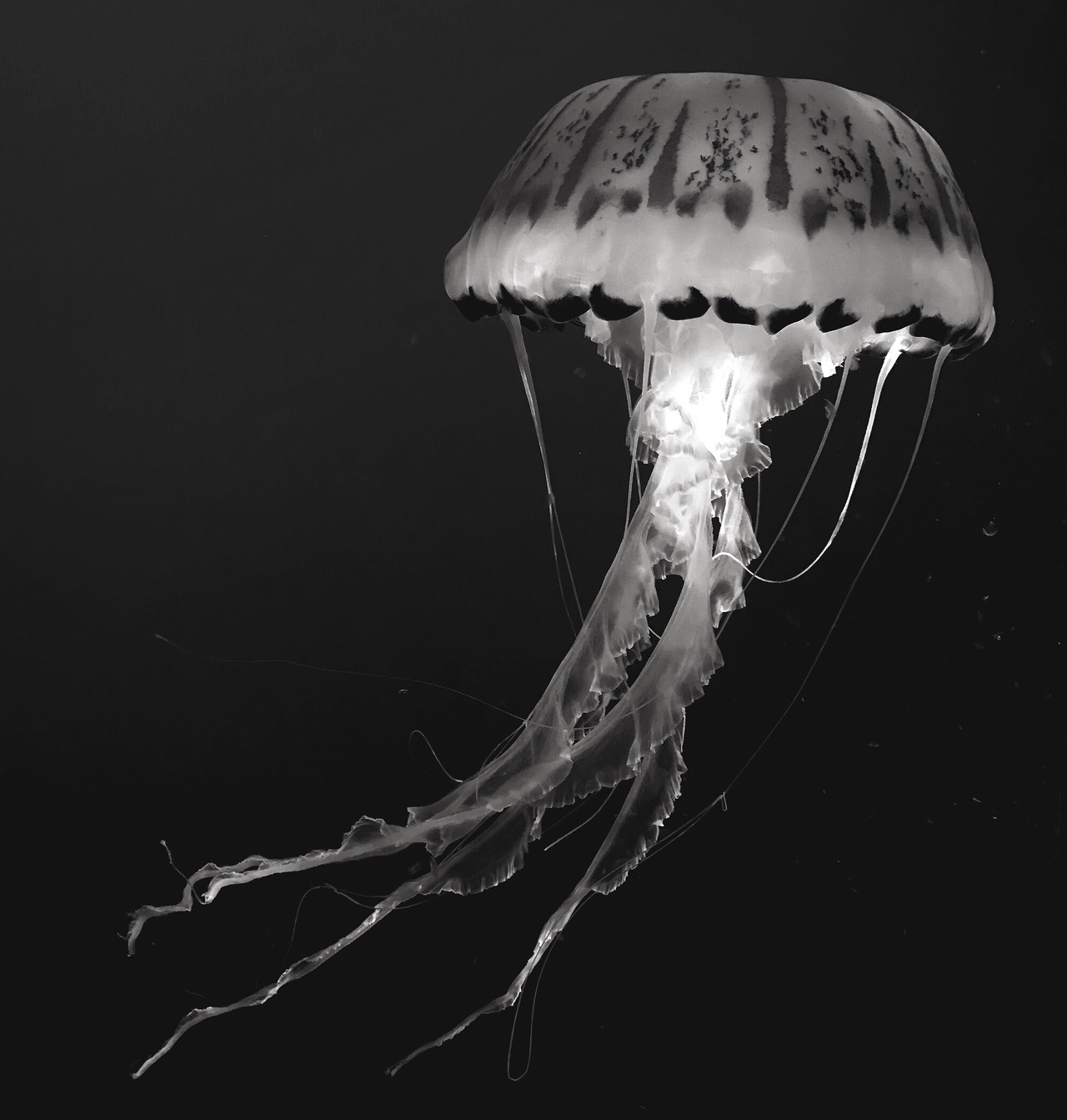 Archillect ID 221703