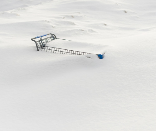 Archillect ID 221769
