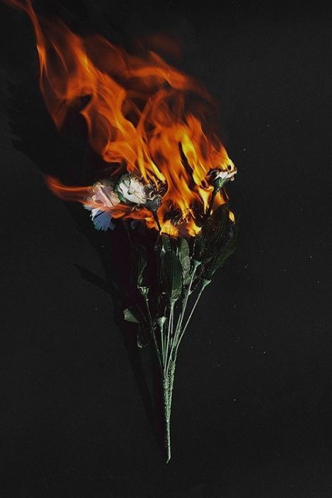 Archillect ID 221791