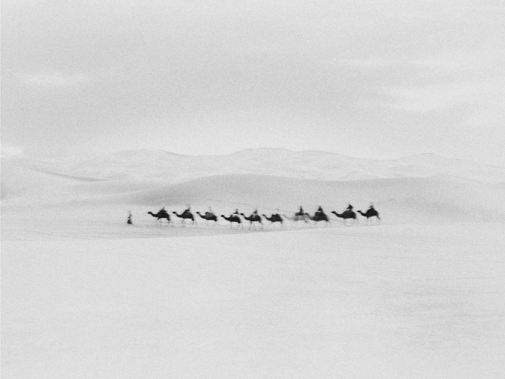 Archillect ID 221817