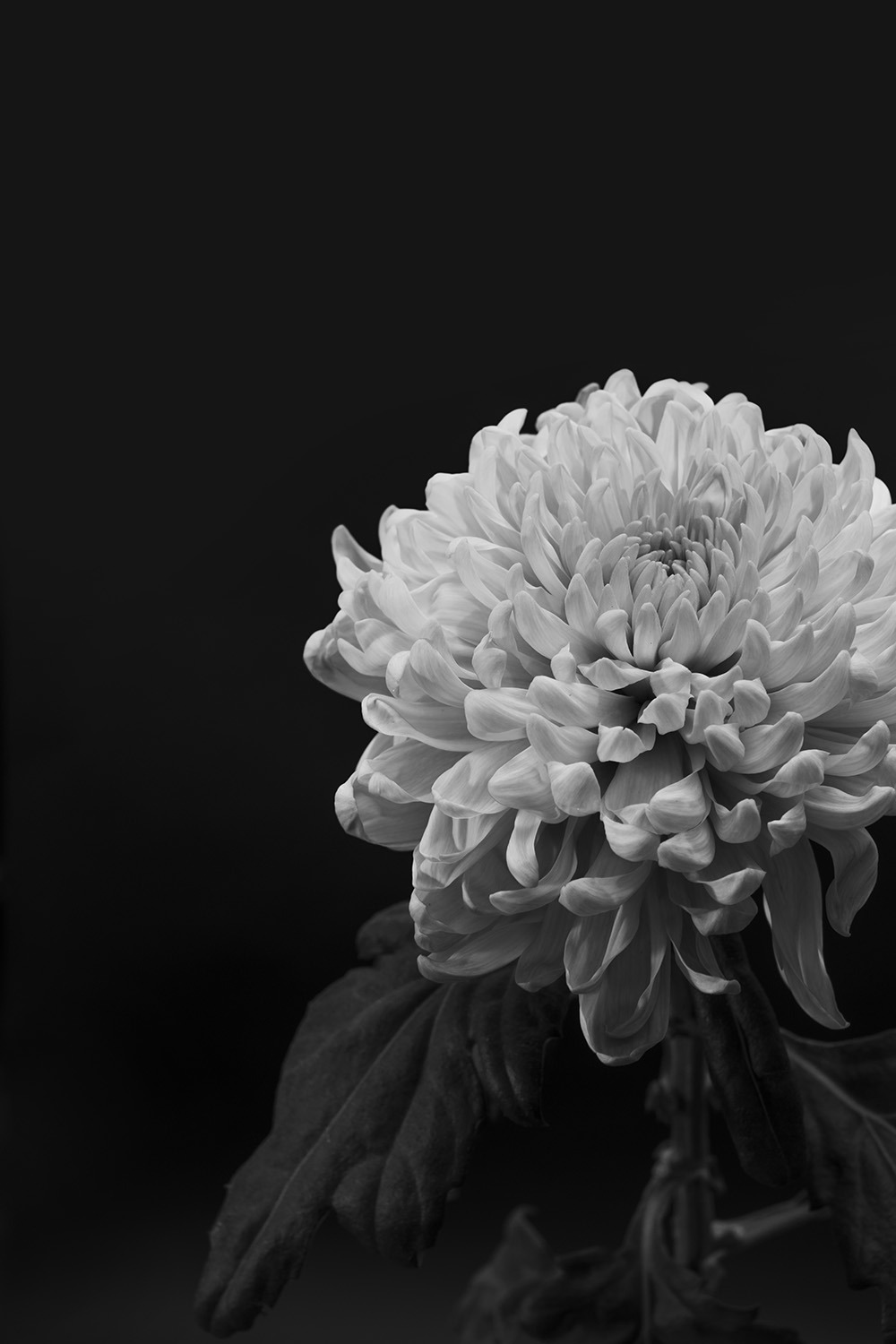 Archillect ID 221866