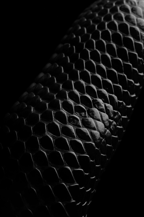 Archillect ID 221920