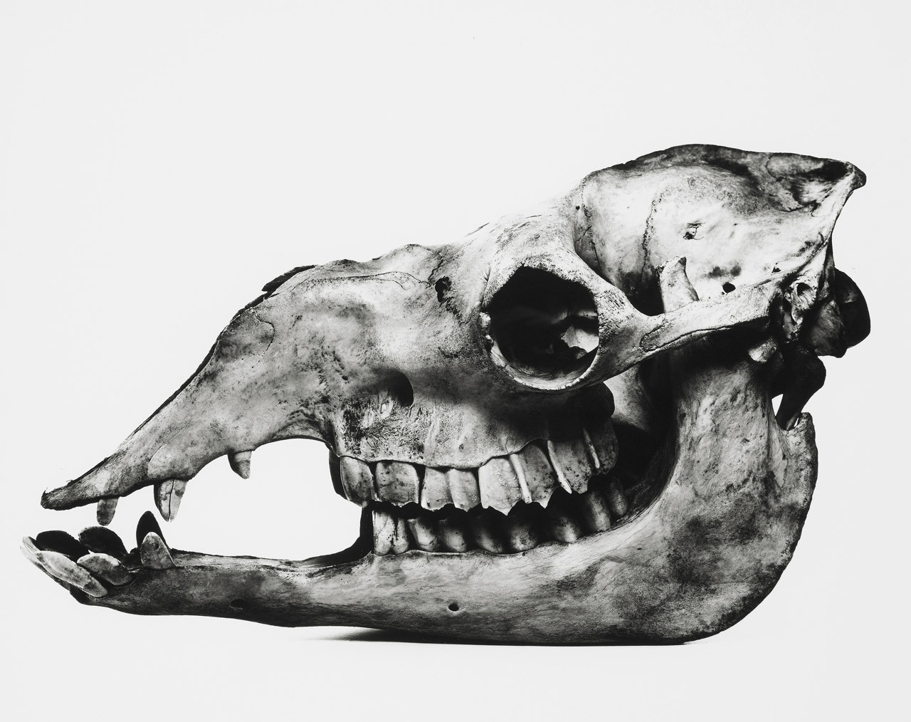 Archillect ID 222036
