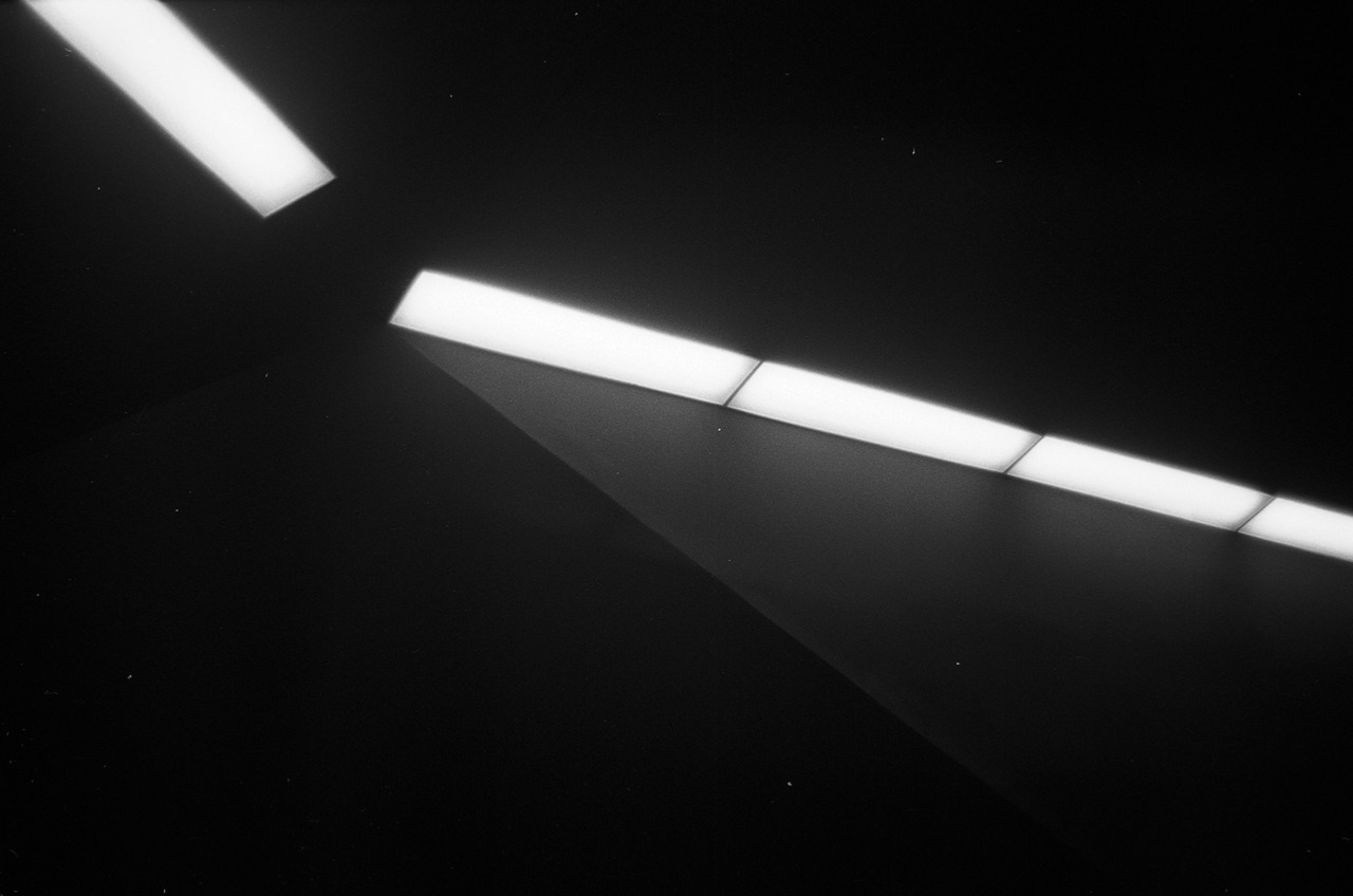 Archillect ID 222306