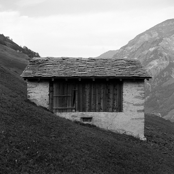 Archillect ID 222349