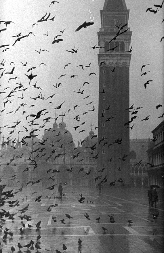 Archillect ID 222435