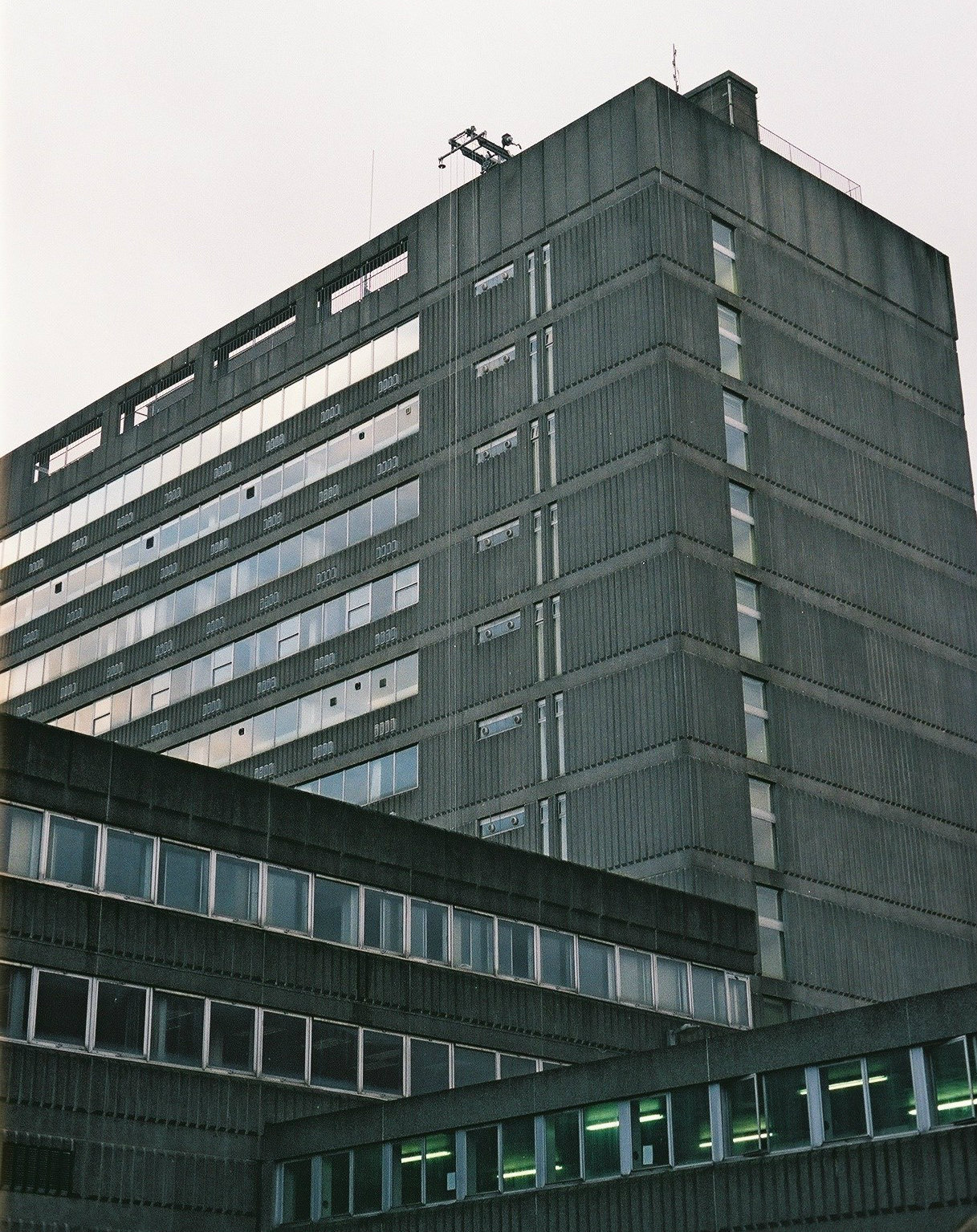 Archillect ID 222512