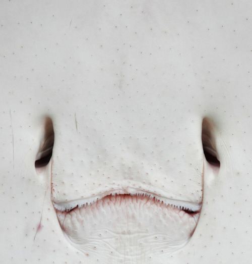 Archillect ID 222589