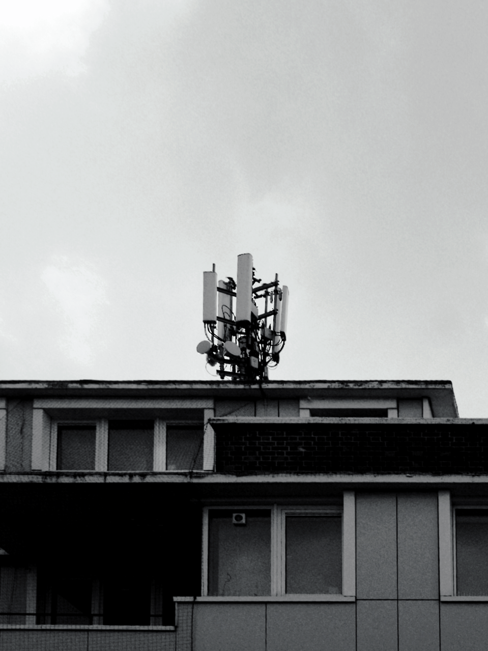 Archillect ID 222734