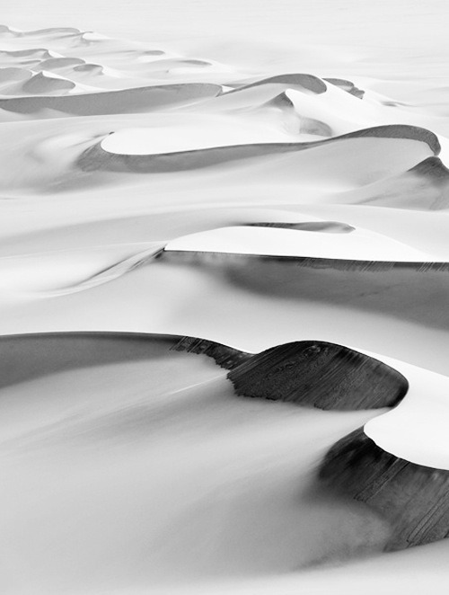 Archillect ID 222853