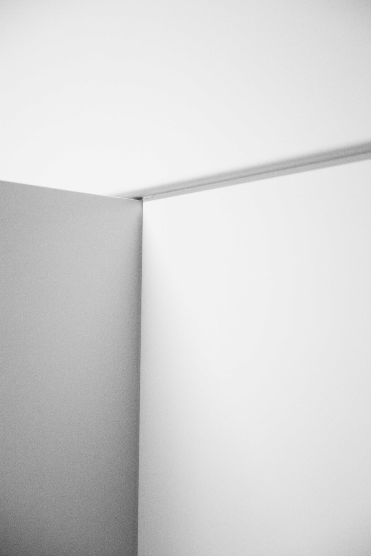 Archillect ID 222961