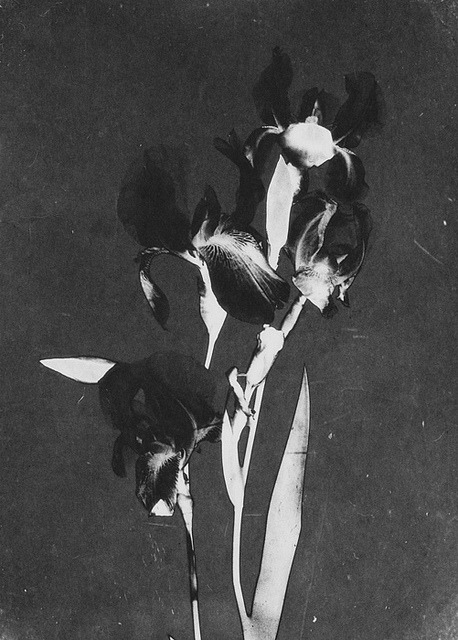 Archillect ID 223072