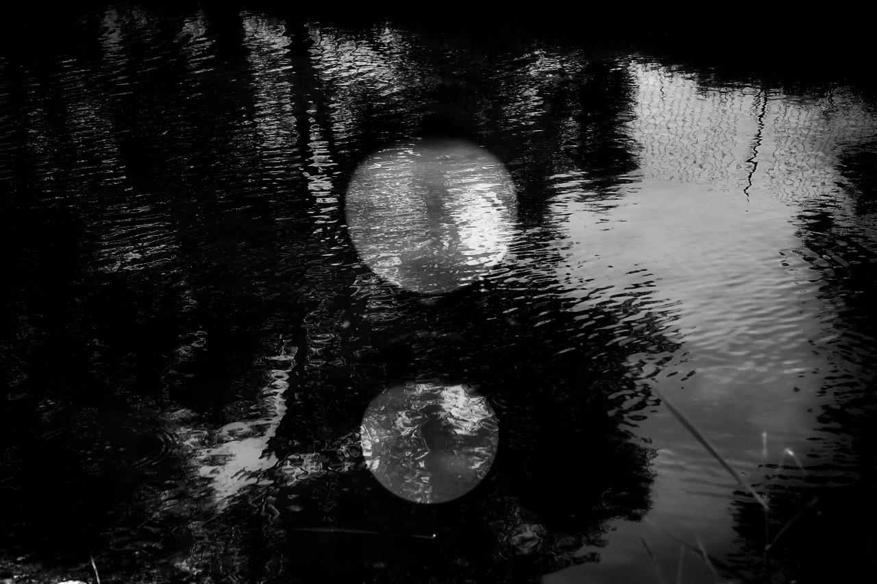 Archillect ID 223076