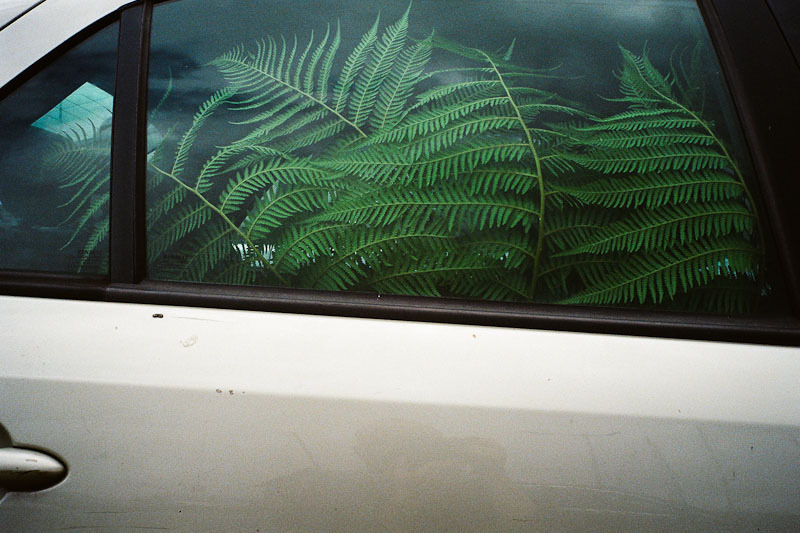 Archillect ID 223095