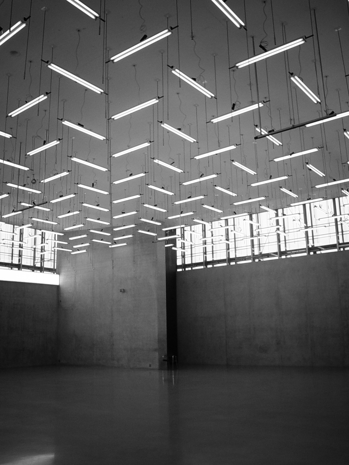 Archillect ID 223249