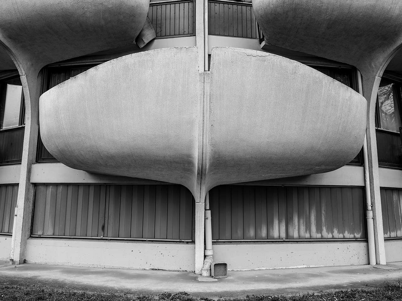 Archillect ID 223350