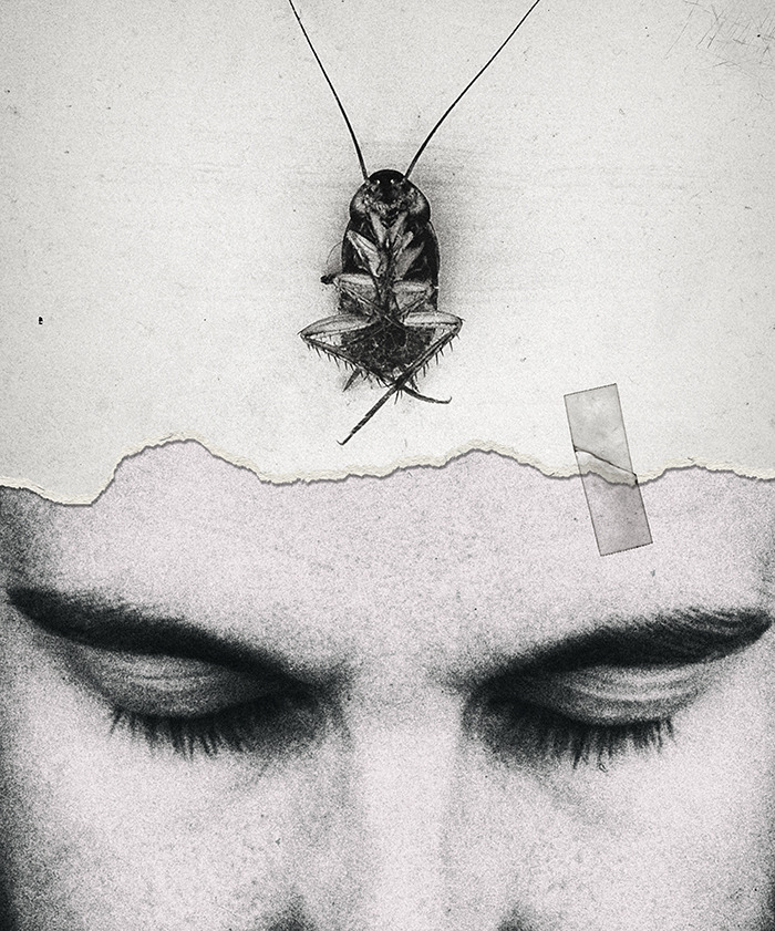 Archillect ID 223534