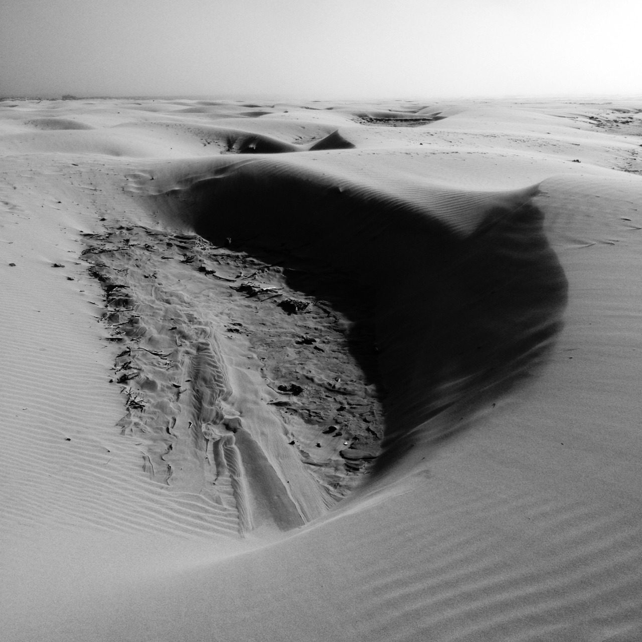 Archillect ID 223564