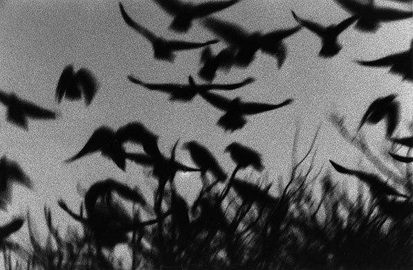 Archillect ID 223607