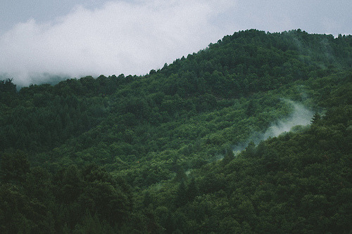 Archillect ID 224147