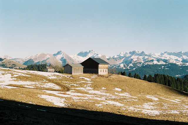 Archillect ID 224337