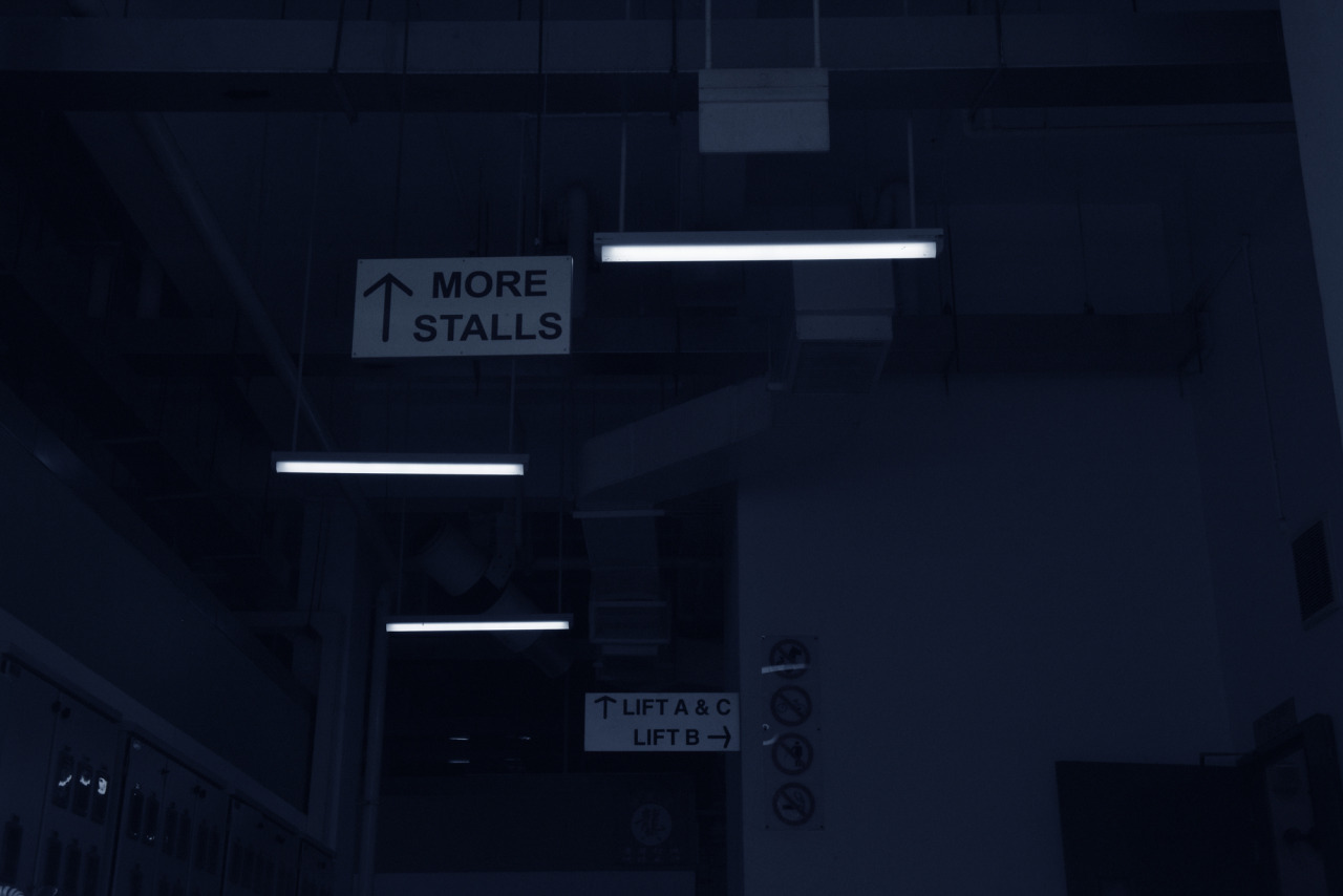 Archillect ID 224349