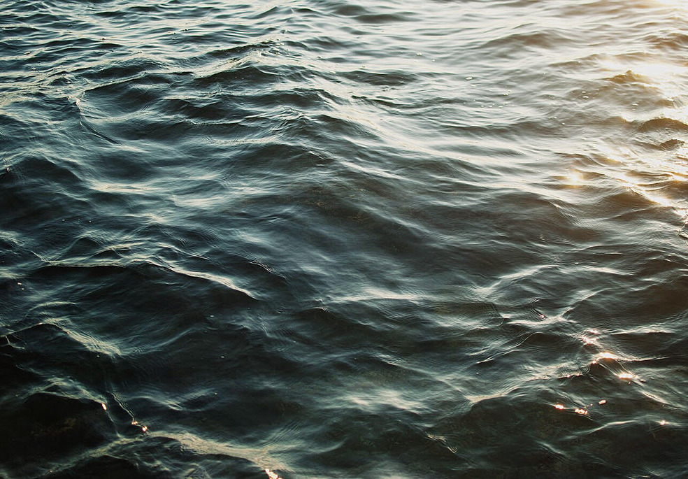 Archillect ID 224394