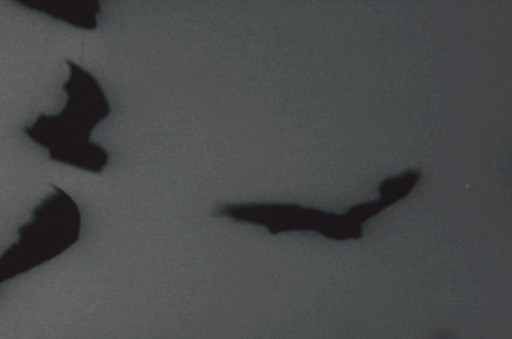 Archillect ID 224614