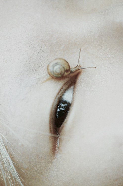 Archillect ID 224723