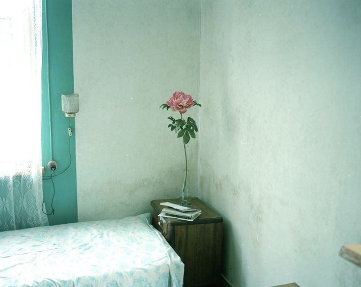 Archillect ID 224807