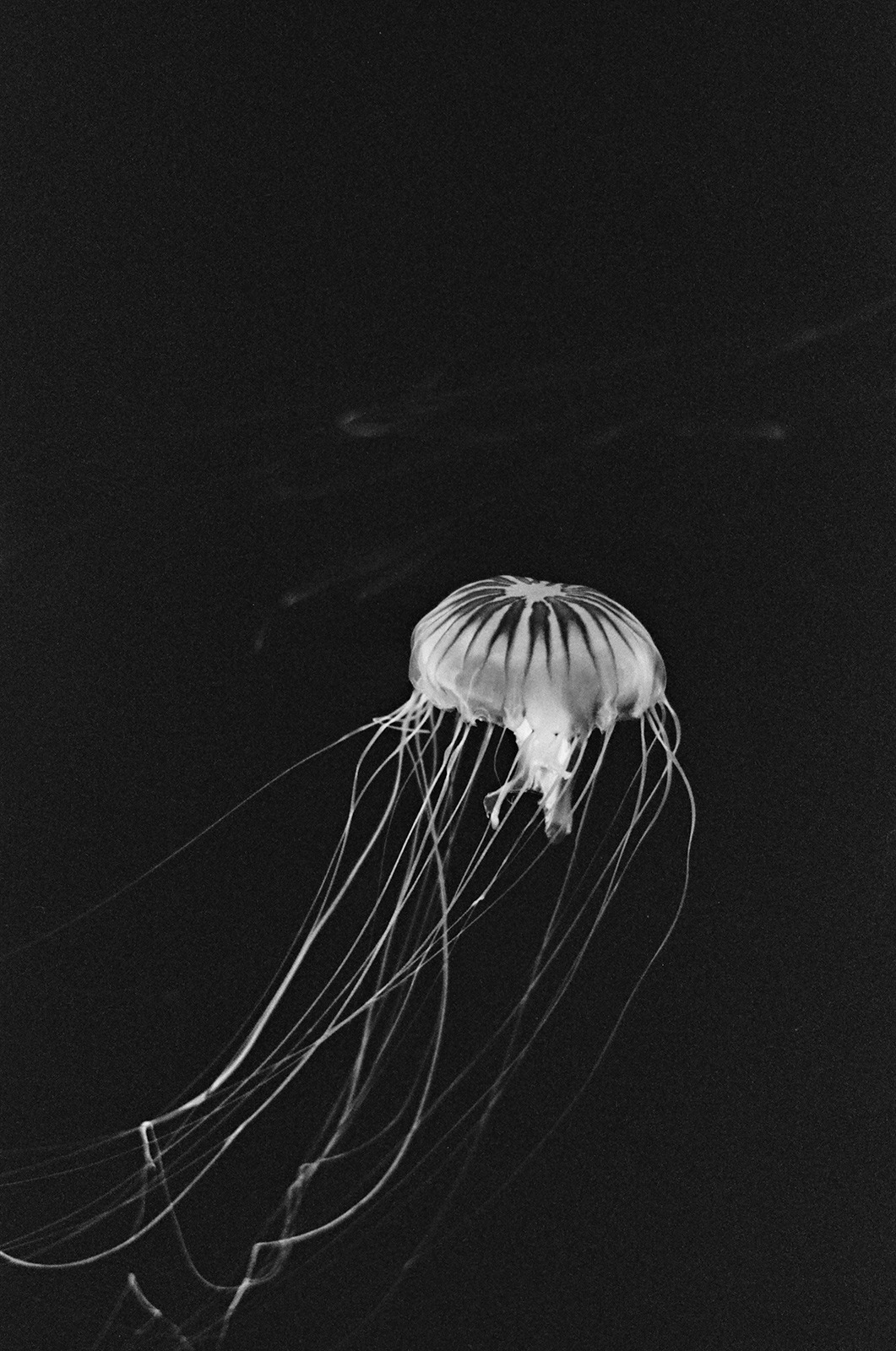 Archillect ID 224826