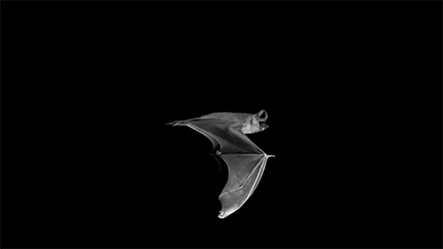 Archillect ID 224931